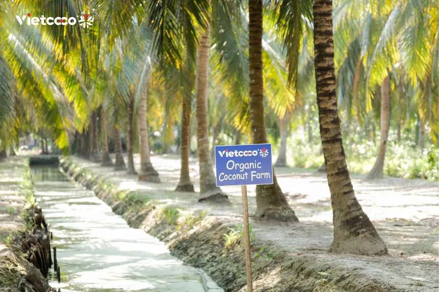 Screenshot 2026-01-06 175821.png